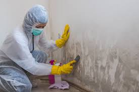 Best Residential Mold Inspection & Testing in Lake Mohegan, NY